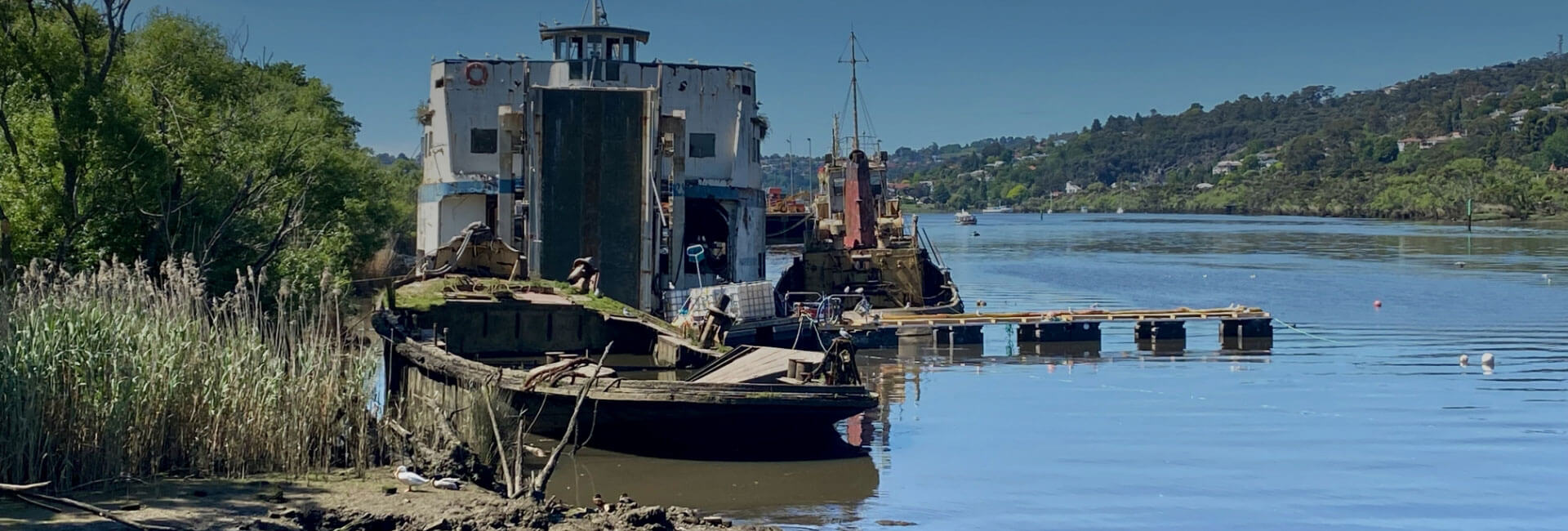 Marine Oil Spill Response thumbnail